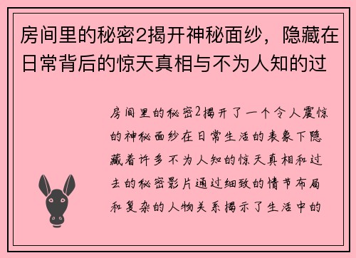 房间里的秘密2揭开神秘面纱，隐藏在日常背后的惊天真相与不为人知的过去